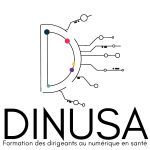 Logo projet DINUSA